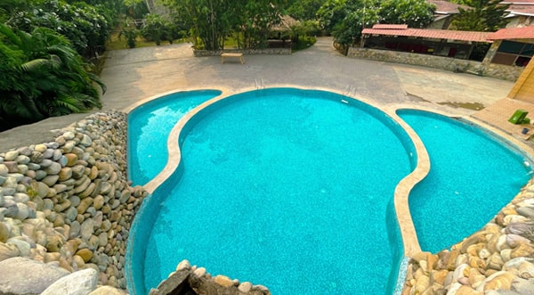 Swimming Pool Bento The Roar Resort